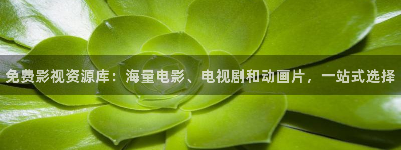 飘雪影院高清完整版在线观看