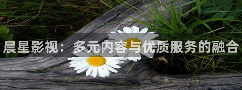 飘雪影院手机免费高清版
