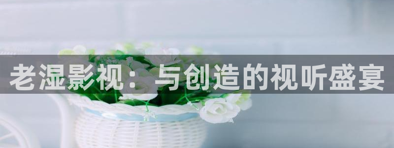飘雪影院好看的电影：老湿影视：与创造的视听盛宴